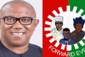 New Project – 2023-10-23T123656.988