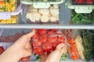 New Project – 2023-10-25T161602.583