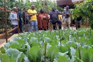 New Project – 2023-10-29T151343.673