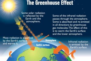 New Project – 2023-10-30T204328.640