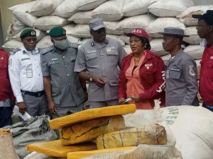 Customs hands over N14m worth of illicit substances to NDLEA okay