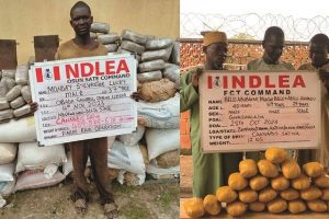 New Project – 2023-11-05T153104.235