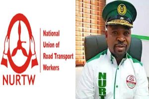 New Project – 2023-11-14T141913.759