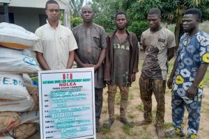 New Project – 2023-11-19T124944.785