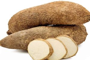 New Project – 2023-11-19T205551.528