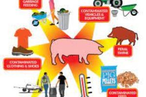 New Project – 2023-11-22T195803.089