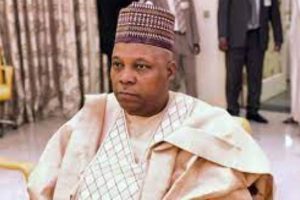 New Project – 2023-11-22T225426.557