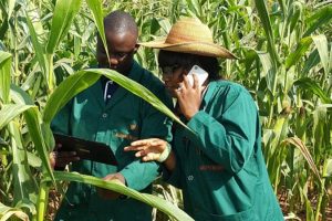 New Project – 2023-11-28T213353.619