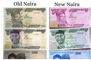 New Project – 2023-11-29T113711.052