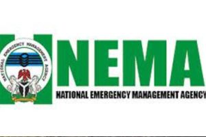 New Project – 2023-12-10T221306.312