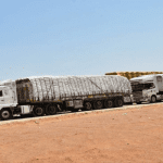 TAMSTOA urges govt to ensure safety of cargo, drivers in neighbouring countries