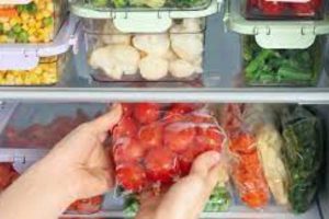 New Project – 2023-12-24T213923.576