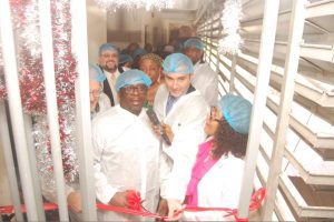 New Project – 2024-01-10T173844.393