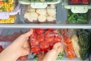 New Project – 2024-01-29T145258.870