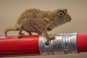 New Project – 2024-02-05T202036.325