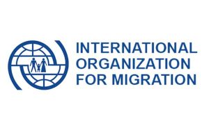 New Project – 2024-02-07T111010.947