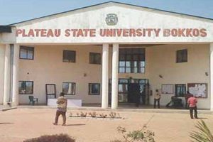 New Project – 2024-02-13T152624.402