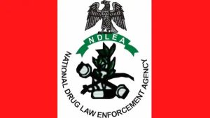 NDLEA-1-1