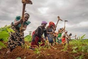 New Project – 2024-03-10T143045.310