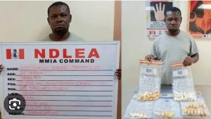 Screenshot_20240325-134724_1