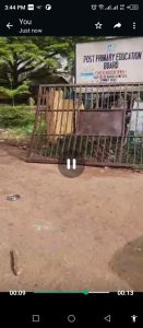 WhatsApp Image 2024-03-18 at 3.44.44 PM (2)