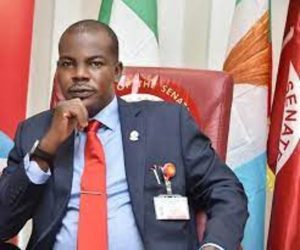 download – 2024-03-13T164235.686