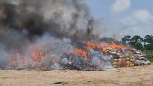 Updated NDLEA destroys 304,436kg of illicit drugs in Badagry
