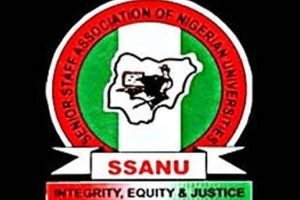 New Project – 2024-05-13T104755.962