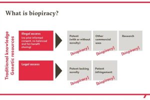 New Project – 2024-05-13T153250.774