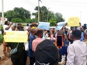 WhatsApp Image 2024-06-10 at 9.50.53 AM (1) (1)