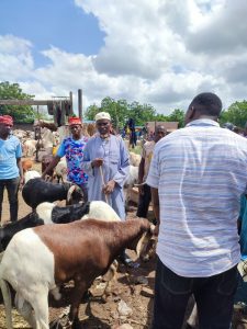 WhatsApp Image 2024-06-12 at 1.33.45 PM (1)