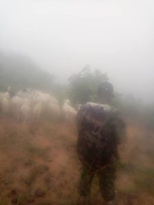 WhatsApp Image 2024-06-13 at 7.27.53 PM (1) (2)