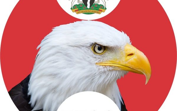 Witness Narrates How N35 Billion Was Found In Mompha’s Account