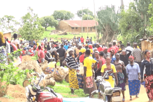 New-Project-2023-07-08T125344.500