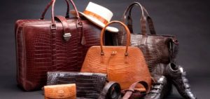 New Project – 2024-07-02T124329.630