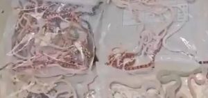 New Project – 2024-07-10T144218.057