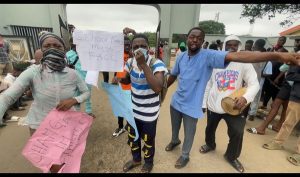 WhatsApp Image 2024-07-17 at 12.25.46 PM (1)