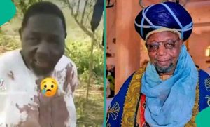 25d5596c3e11a116-2-780×470