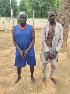 72905456-0458-4363-b439-299c968cae3f-IMG-20240813-WA0007