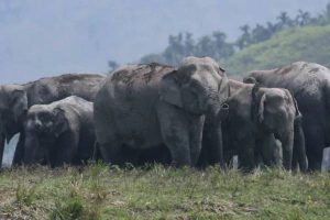 New Project – 2024-08-11T142605.213