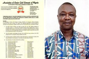 ASCSN re-elects Bola-Audu as President, gets new CWC