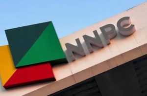 TRANSMISSION-COMPANY-OF-NIGERIA-TCN (14)