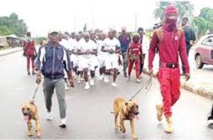 TRANSMISSION-COMPANY-OF-NIGERIA-TCN (30)