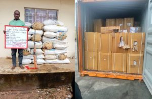 TRANSMISSION-COMPANY-OF-NIGERIA-TCN (53)