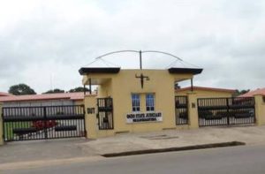 TRANSMISSION-COMPANY-OF-NIGERIA-TCN (54)