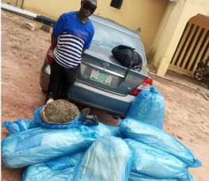 23bf8fc1-884b-4c6e-bda8-7e3d4d3676c2-IMG-20240902-WA0060