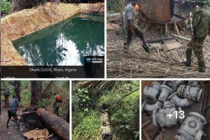 New Project – 2024-09-02T131802.032