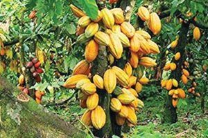 New Project – 2024-09-04T204510.007