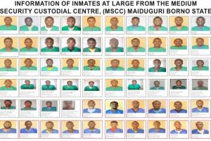 New Project – 2024-09-16T063306.609