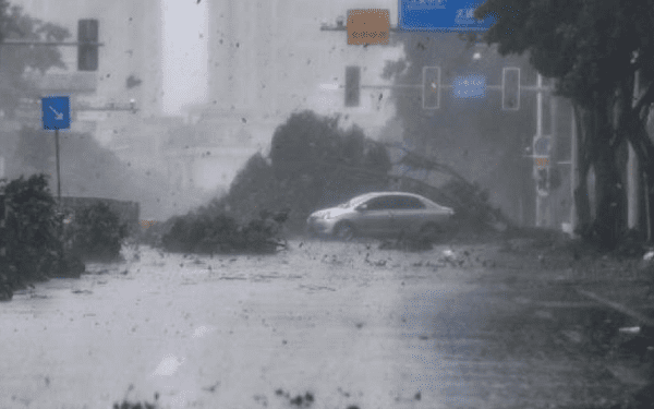 Over 400,000 persons evacuated as Typhoon Bebinca hits Shanghai